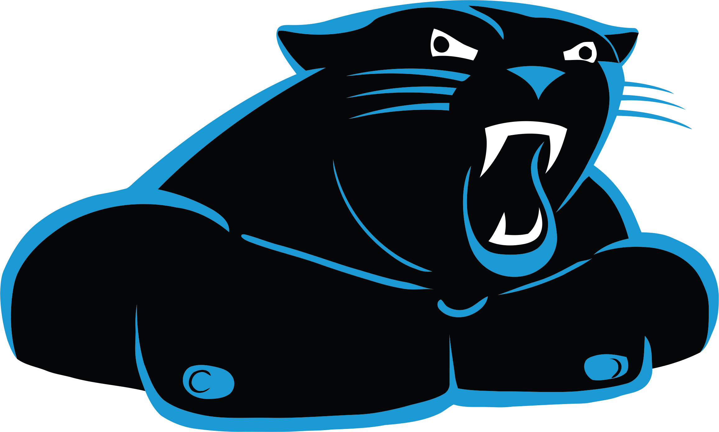 Carolina Panthers Steroids Logo iron on transfers